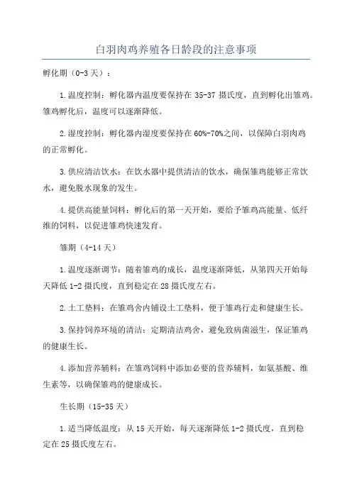白羽肉鸡养殖各日龄段的注意事项