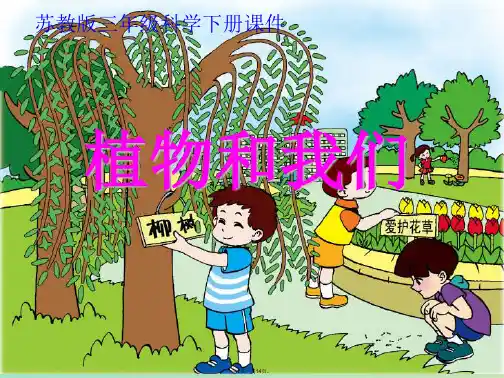 苏教版三年级科学下册植物和我们(共14张PPT)