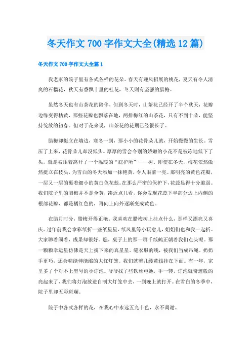 冬天作文700字作文大全(精选12篇)