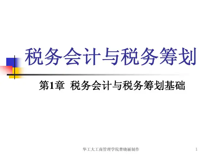 税务会计与资料税务筹划培训资料