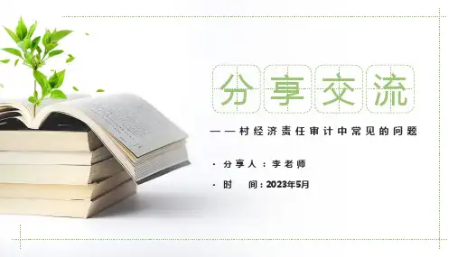 村经济责任审计问题分享交流-3 