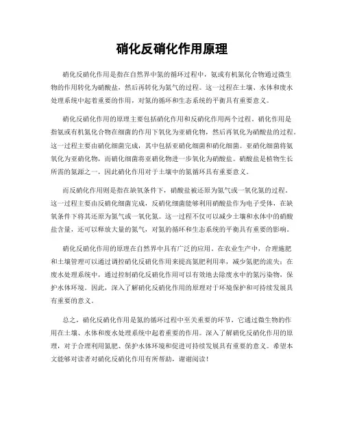 硝化反硝化作用原理