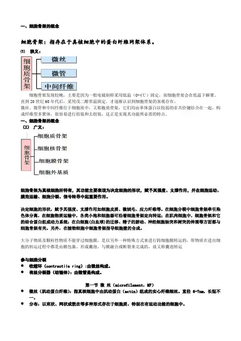 第九章 细胞骨架