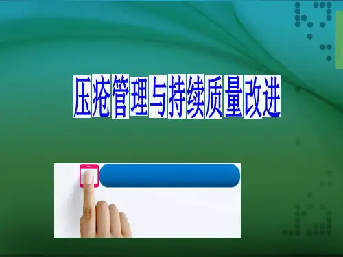压疮管理与持续质量改进PPT