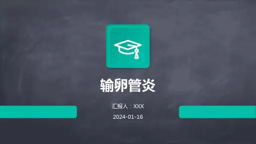 输卵管炎疾病PPT演示课件