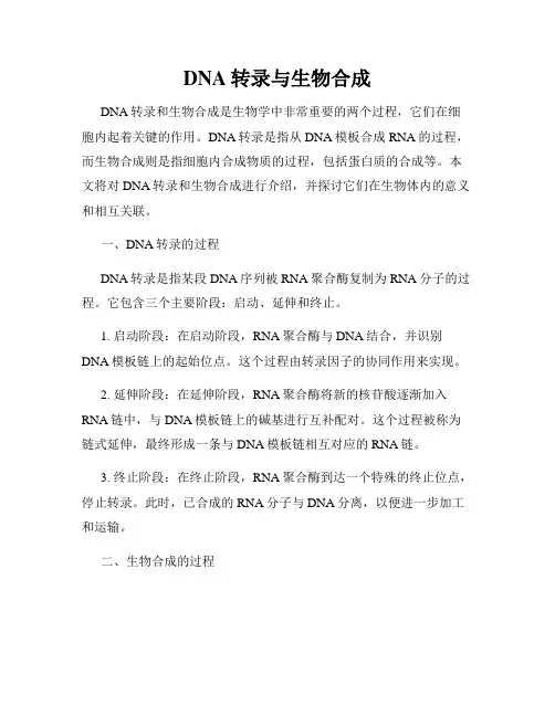 DNA转录与生物合成