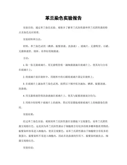 革兰染色实验报告