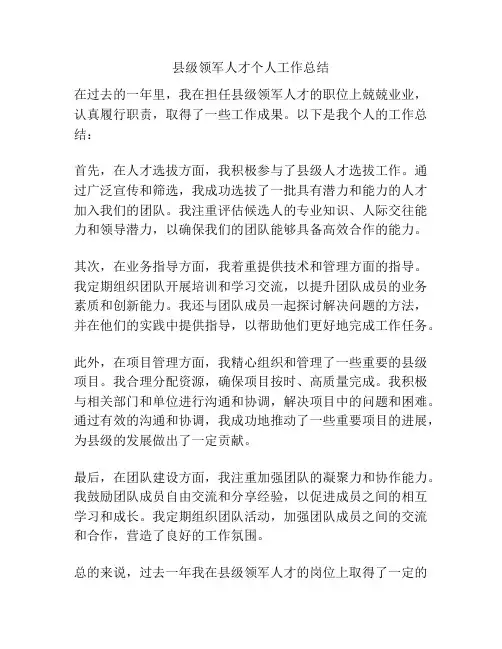 县级领军人才个人工作总结