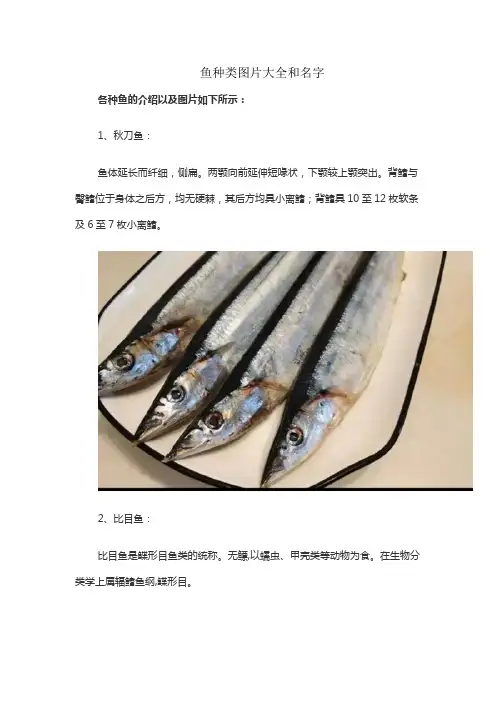 鱼种类图片大全和名字