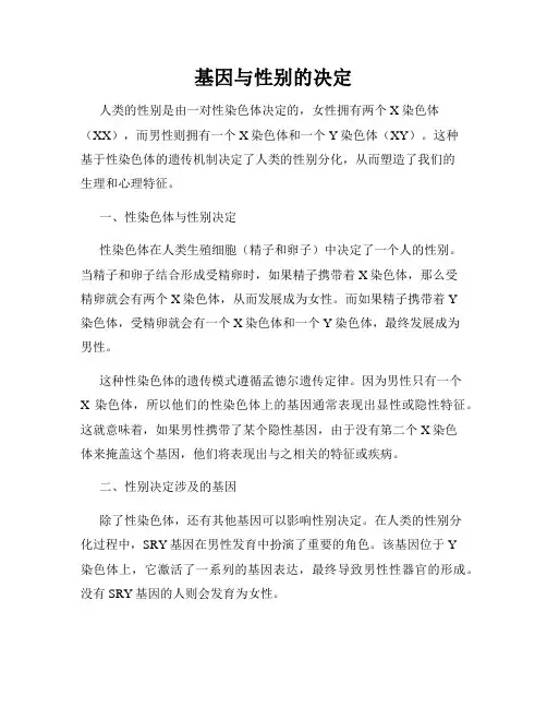 基因与性别的决定