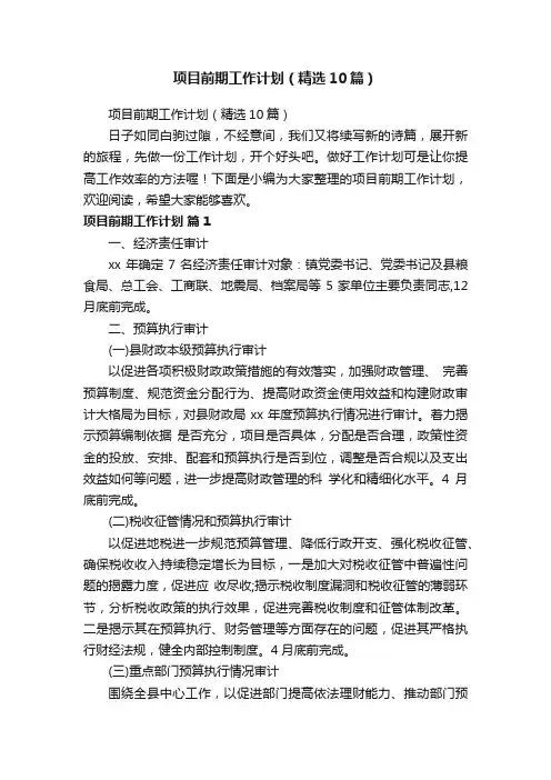 项目前期工作计划（精选10篇）