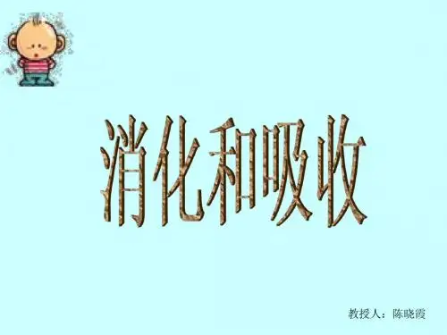 七年级生物下册：第四单元第二章第二节消化和吸收_人教版
