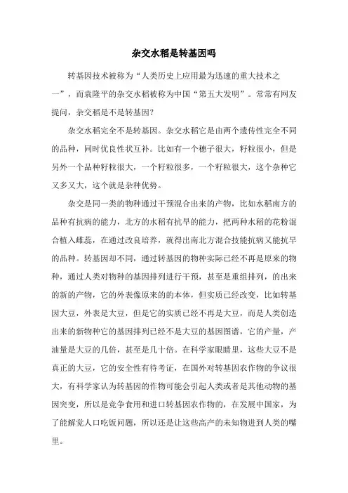 杂交水稻是转基因吗