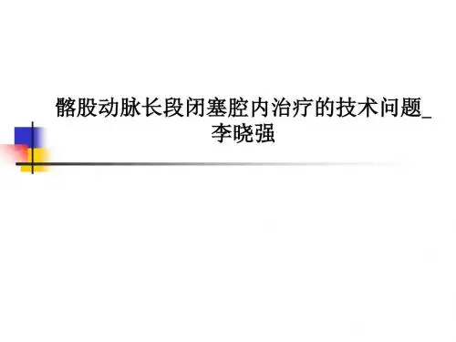 髂股动脉长段闭塞腔内治疗的技术问题李晓强PPT课件