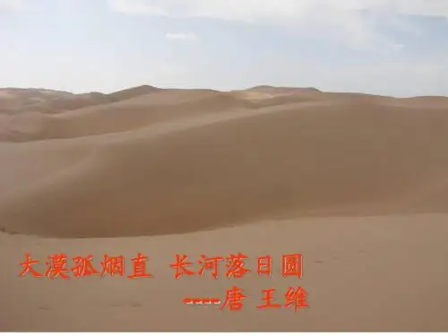 在沙漠中心_课件