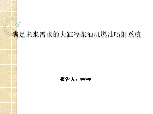 满足未来需求的大缸径柴油机燃油喷射系统-28页文档资料