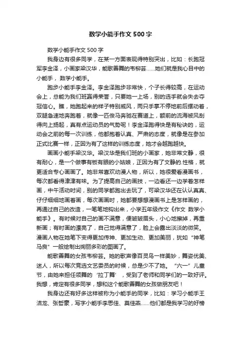 数学小能手作文500字
