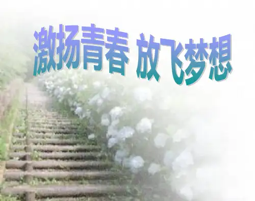 高二《激扬青春放飞梦想》主题班会课件