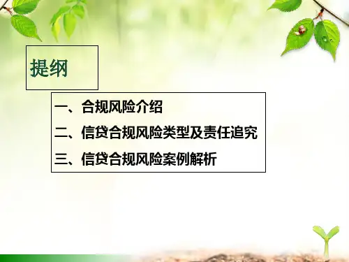 信贷合规风险介绍PPT课件