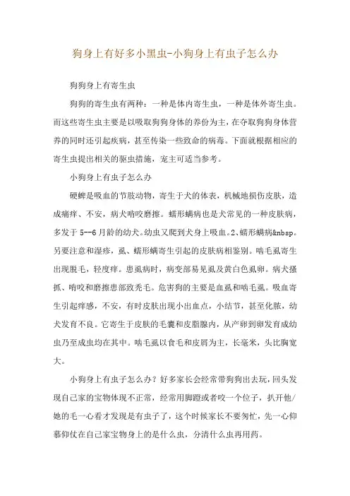狗身上有好多小黑虫-小狗身上有虫子怎么办