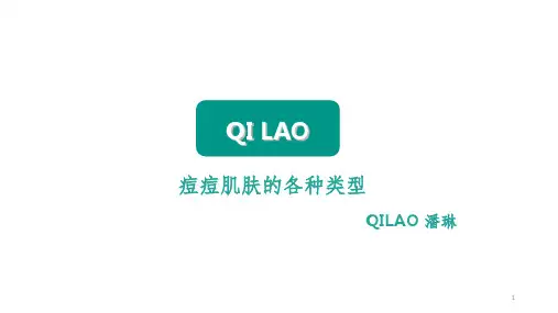 痘痘肌肤的各种类型ppt课件