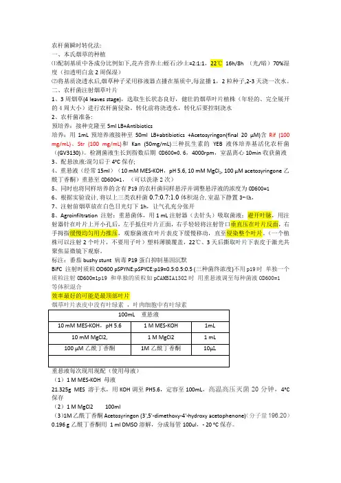 农杆菌瞬时转化法