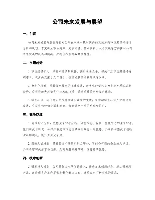公司未来发展与展望