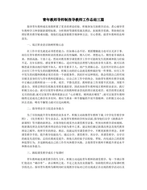 青年教师导师制指导教师工作总结三篇