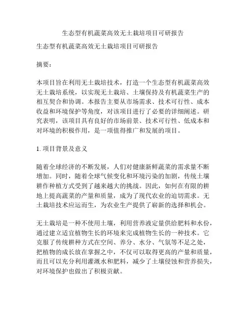 生态型有机蔬菜高效无土栽培项目可研报告