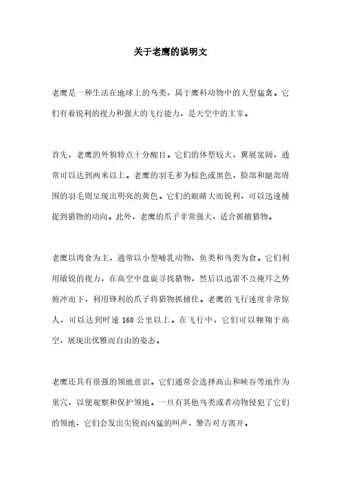 关于老鹰的说明文