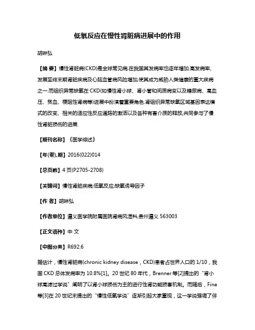 低氧反应在慢性肾脏病进展中的作用