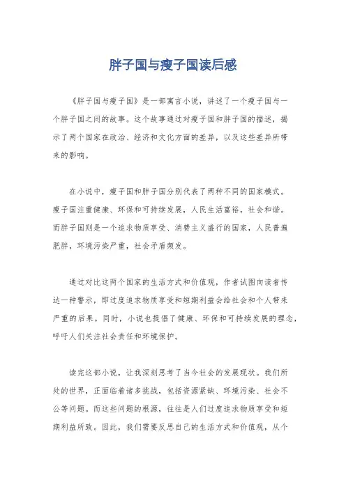 胖子国与瘦子国读后感