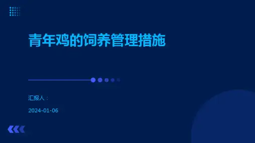 青年鸡的饲养管理措施