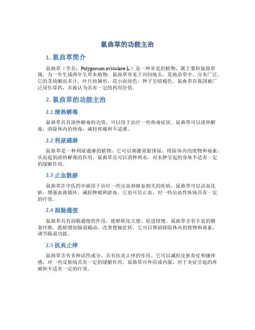 鼠曲草的功能主治