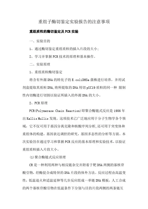 重组子酶切鉴定实验报告的注意事项