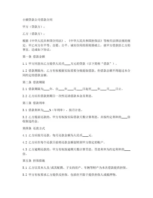小额贷款公司借款合同模板