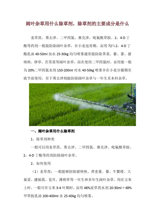 阔叶杂草用什么除草剂,除草剂的主要成分是什么