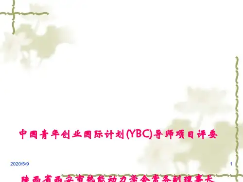 大学生创业项目的选择与分析(ppt38张)