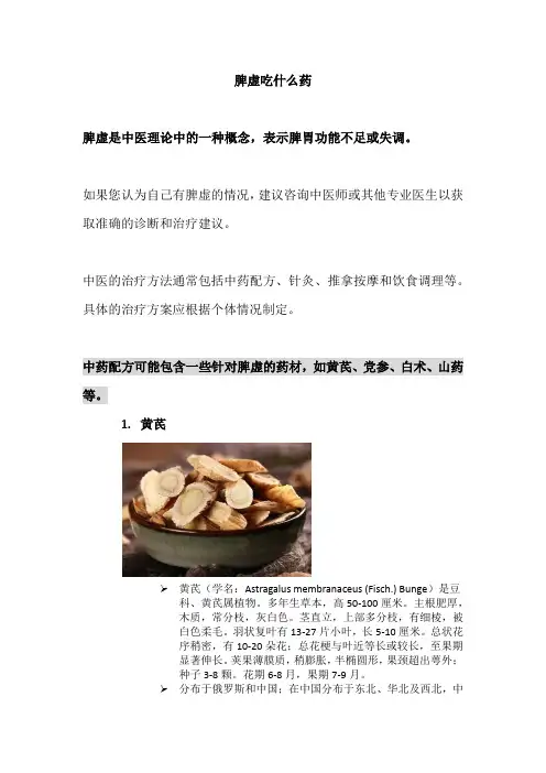 脾虚吃什么药