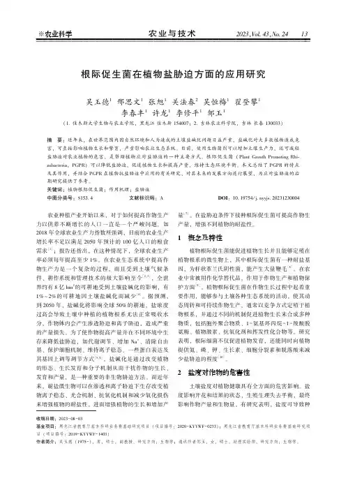根际促生菌在植物盐胁迫方面的应用研究