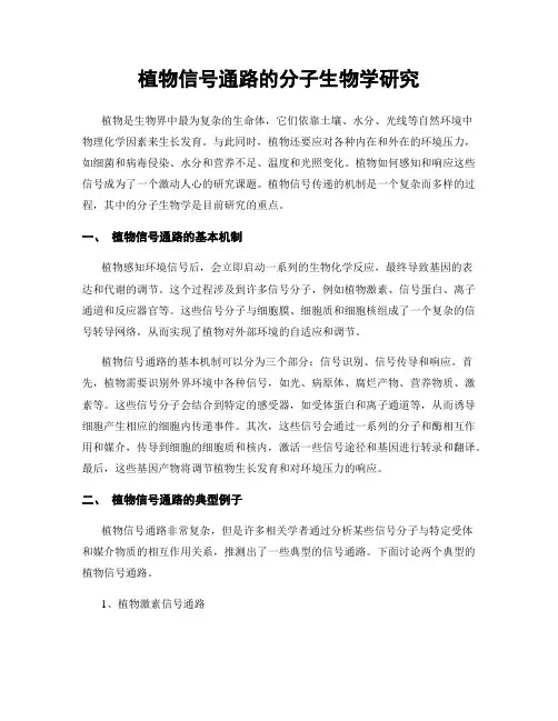 植物信号通路的分子生物学研究