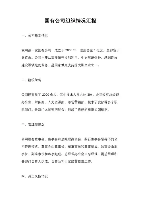 国有公司组织情况汇报