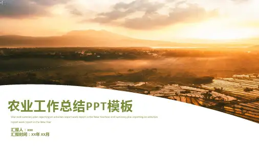农业工作总结PPT模板(5套)