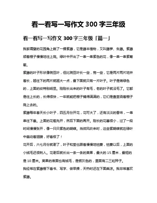 看一看写一写作文300字三年级