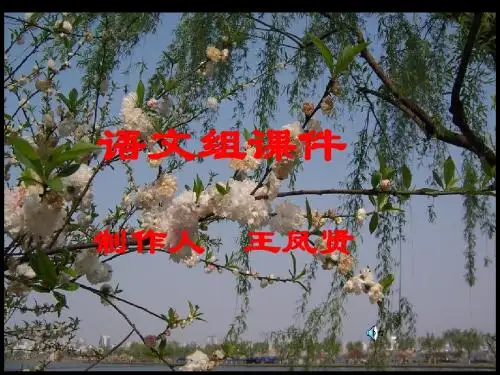 大自然的语言第一课时