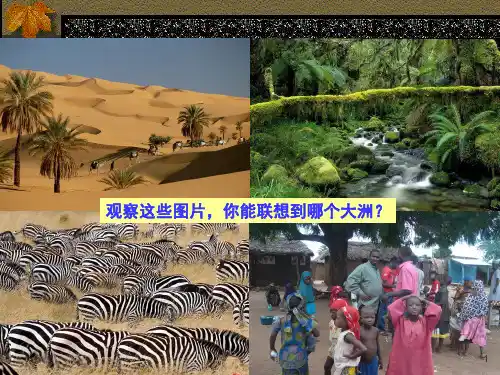 非洲ppt课件