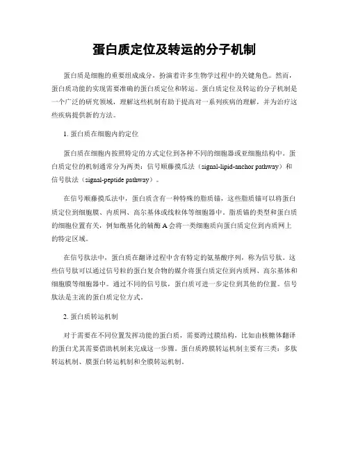 蛋白质定位及转运的分子机制