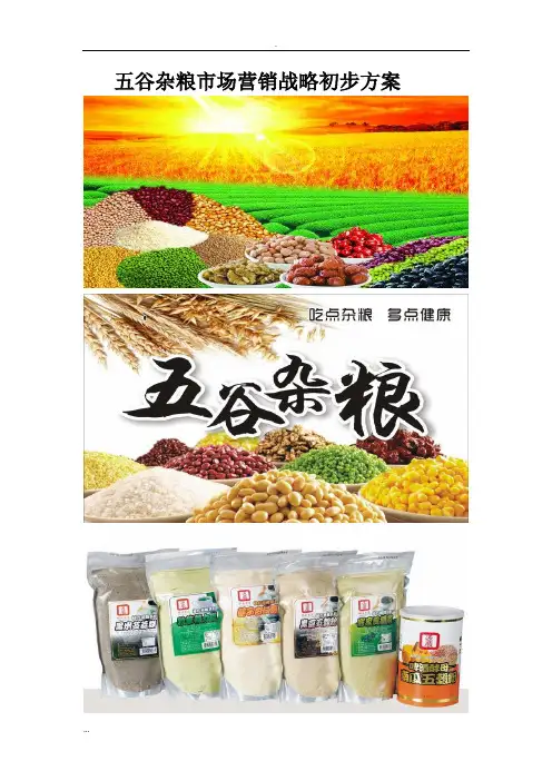 五谷杂粮市场营销战略初步及方案