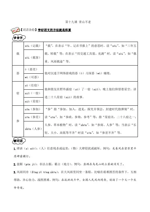 2024年秋季小学语文六年级上册知识点+配练习20.《青山不老》教师版