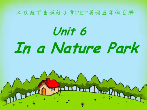 人教版五年级英语上册unit6 In a nature park图文课件